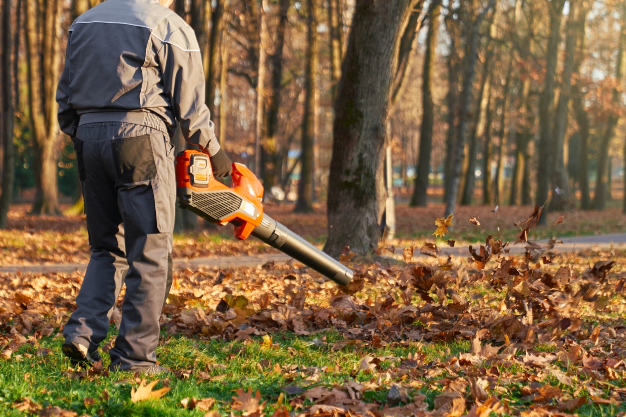 Man using a leaf blower